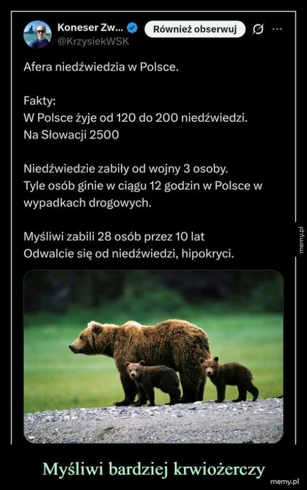 Niedźwiedź