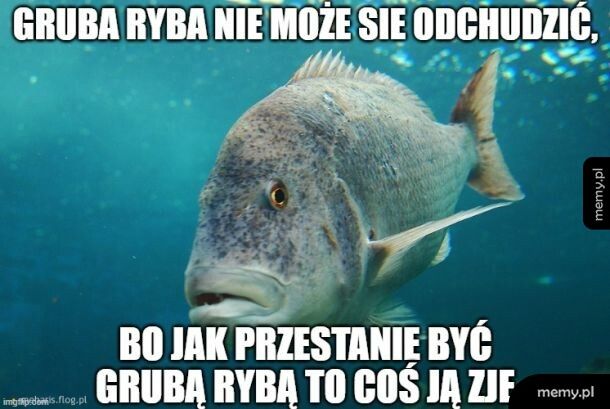 Dowcip miesiąca