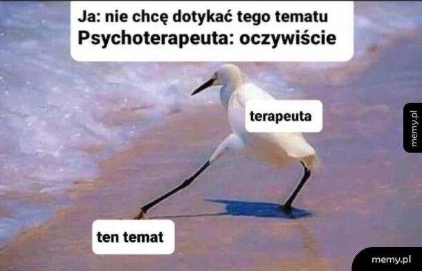Psychoterapeuci