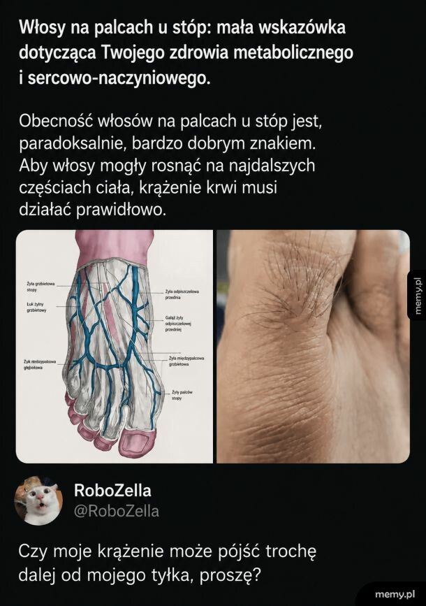 Krążenie