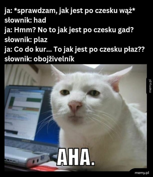 Lingwista