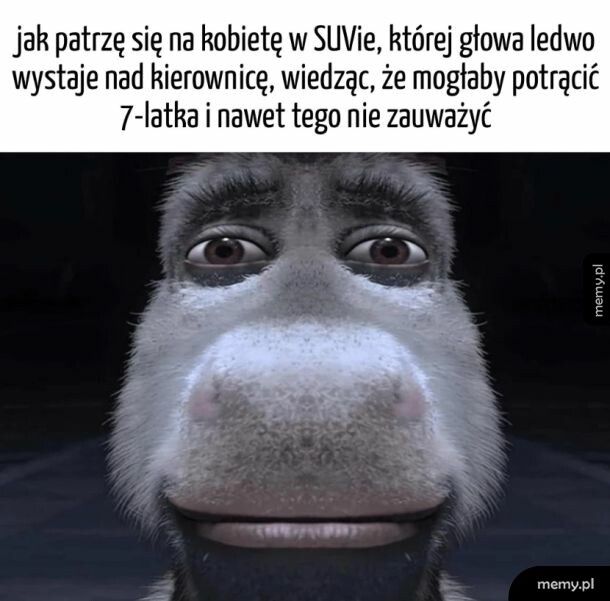 SUVy