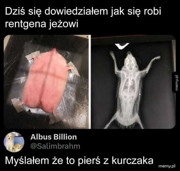 Wypuśćcie go!