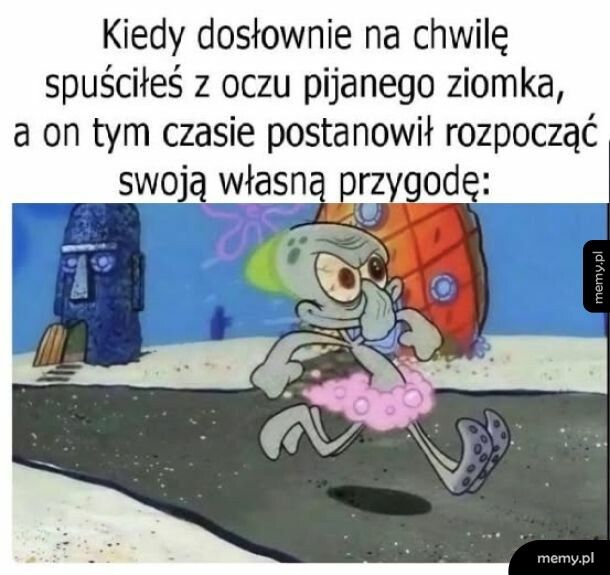 Ziomek