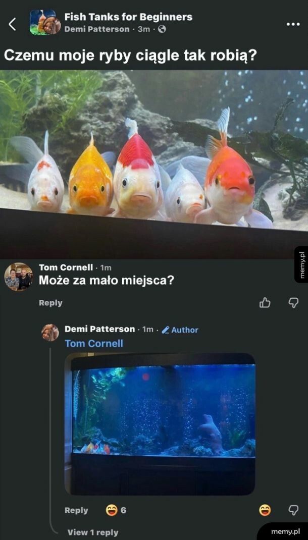 Oglądałem "Gdzie jest Nemo", wiem co planują