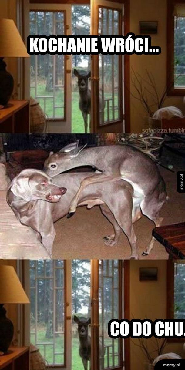 Co tu się