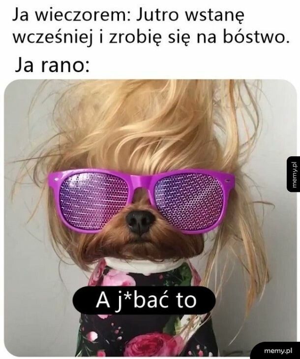 Mem: Postanowienia