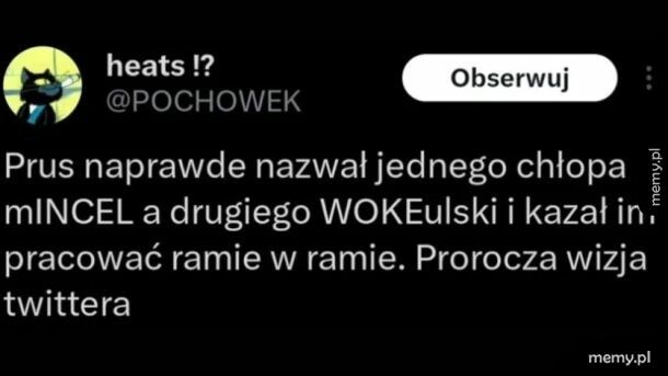 Mem: mINCEL i WOKEulski