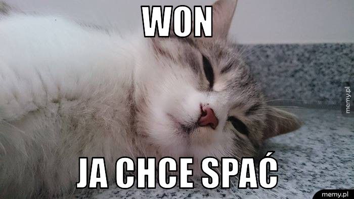 won ja chce spać