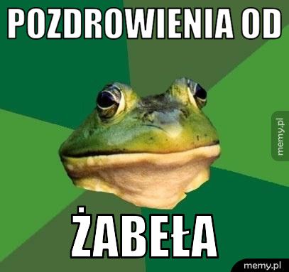 pozdrowienia od Żabeła