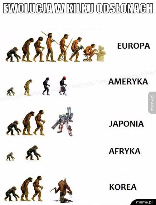 Ewolucja w kilku odsłonach   