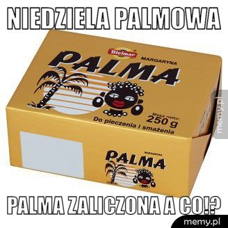 Niedziela palmowa Palma zaliczona a co!?