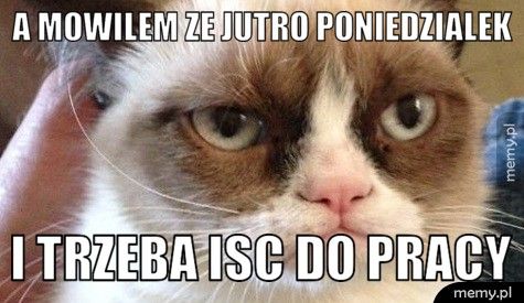 A mowilem ze jutro poniedzialek i trzeba isc do pracy