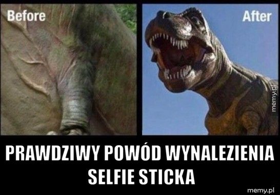                   Prawdziwy powód wynalezienia             selfie stic
