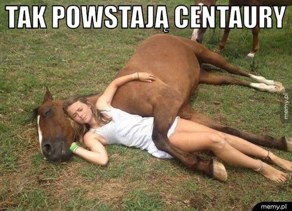 Tak powstają centaury.
