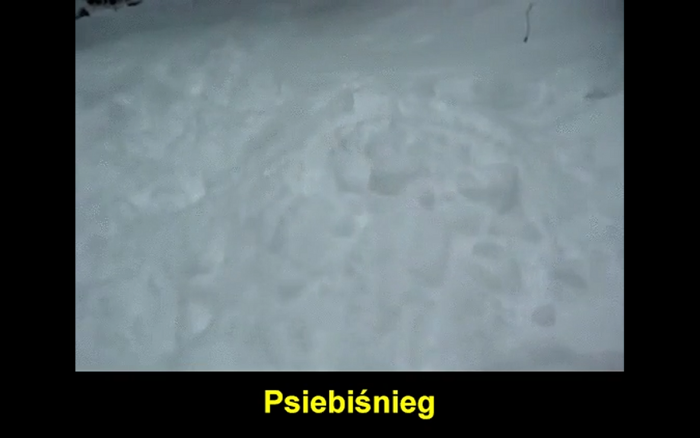 Wiosna ...