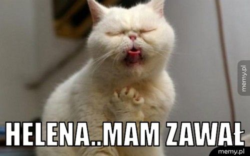          helena..mam zawał