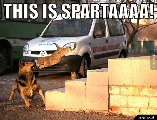 This is Spartaaaa!   