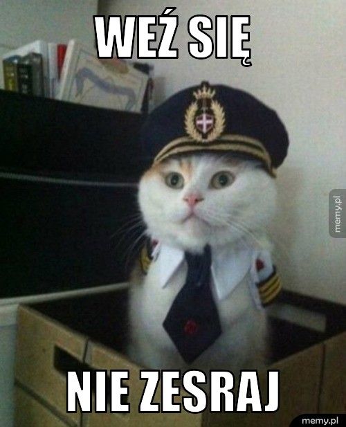 weź się nie zesraj