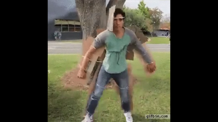 Ninja