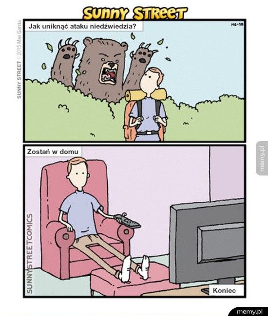 Jak uniknąć ataku niedźwiedzia