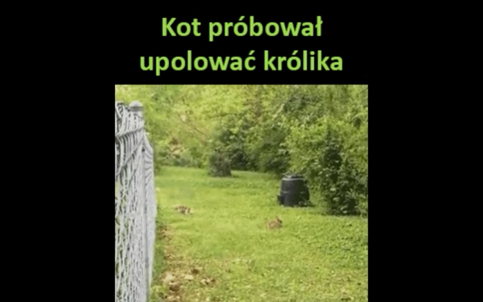 Coś poszło nie tak...