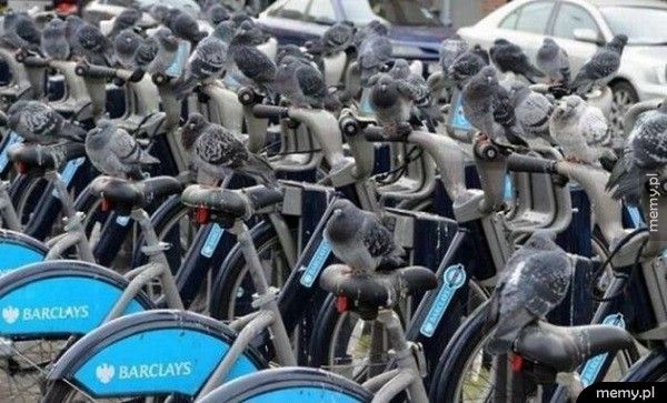 Wypożyczenie roweru w Londynie jest trudne