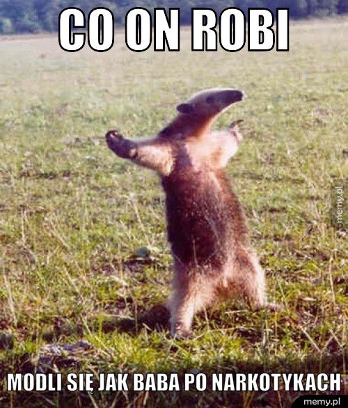co on robi modli się jak baba po narkotykach