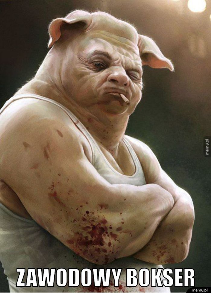  Zawodowy Bokser