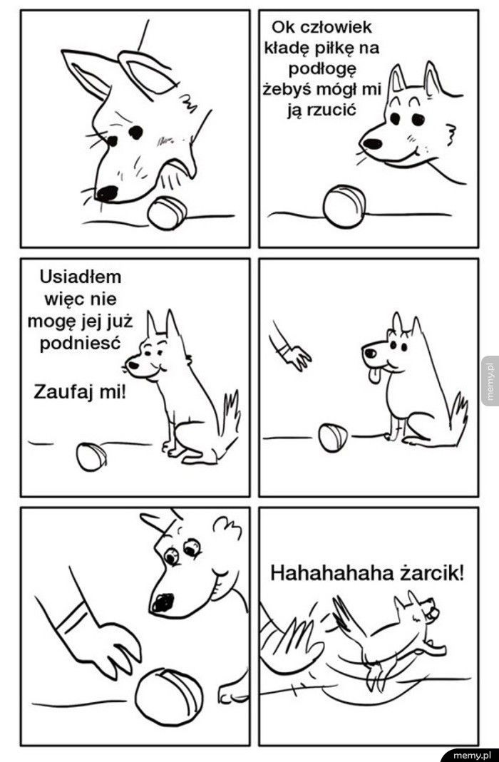 Piesełki takie są