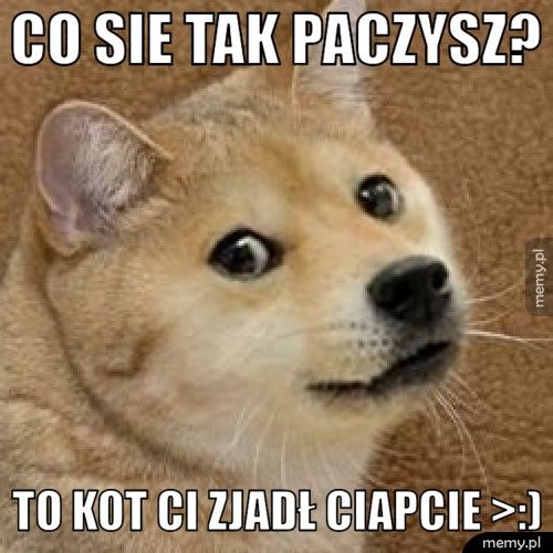 Co sie tak paczysz? to kot ci zjadł ciapcie >:)