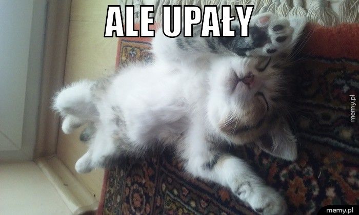 ALE UPAŁY 