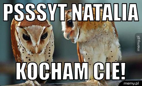 psssyt natalia kocham cie!