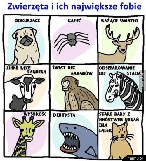 Zwierzęta i ich fobie
