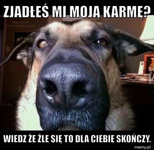 Zjadłeś mi moją karmę? Wiedz że źle się to dla Ciebie skończy.
