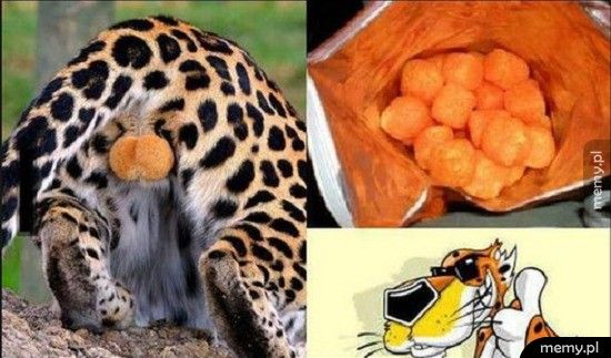Cheetosy