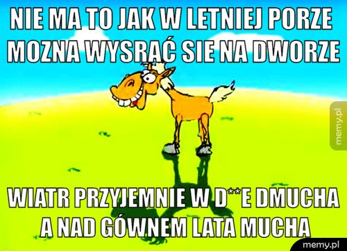 nie ma to jak w letniej porze mozna wysrać sie na dworze wiatr przyjemnie w d**e dmucha a nad gównem lata mucha