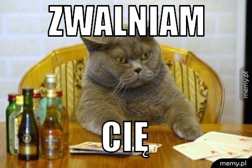 ZWALNIAM CIĘ