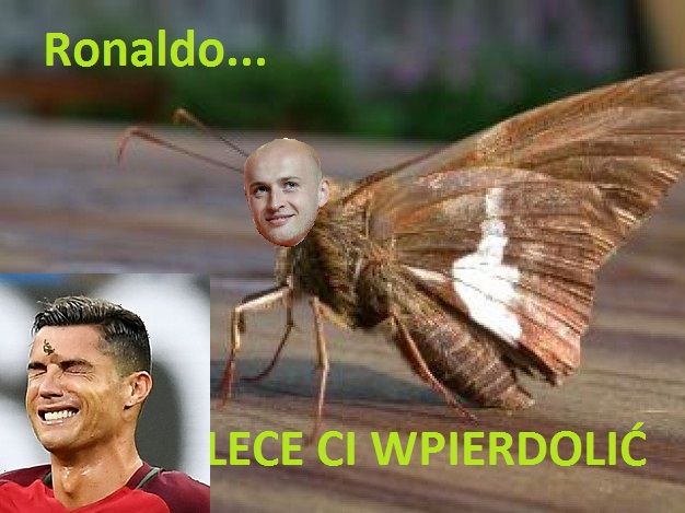 To nie była zwykła ćma.