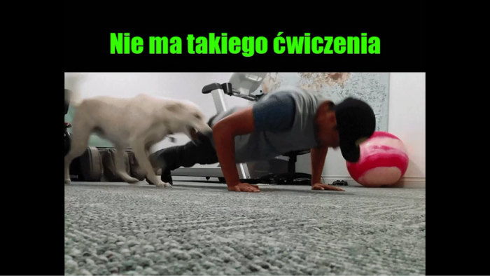 Pieseł