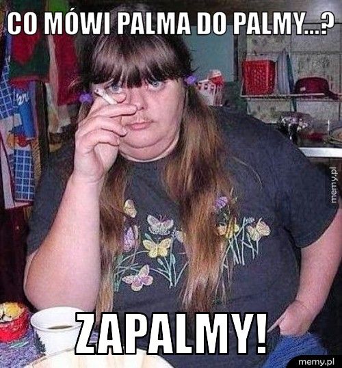 Co mówi palma do palmy...? ZAPALMY!