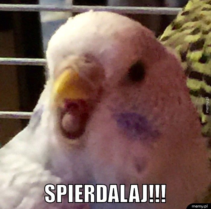  Spierdalaj!!!