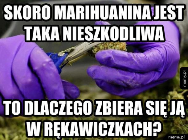 Marihuanen