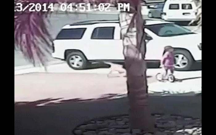 Nie każdy bohater nosi pelerynę