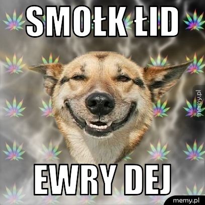 smołk łid ewry dej