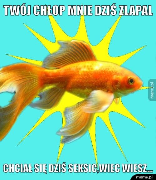 Twój chłop mnie dziś zlapal Chciał się dziś seksic,wiec wiesz...