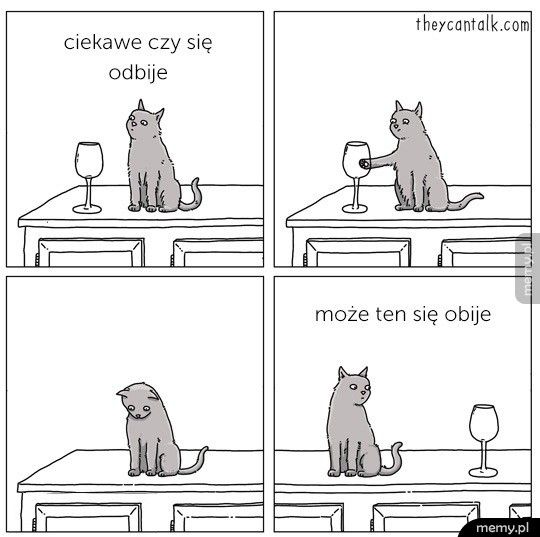 Logika kotów