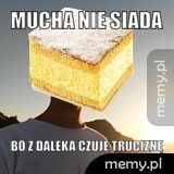 mucha nie siada bo z daleka czuje truciznę
