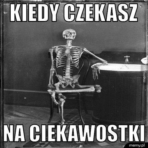Kiedy czekasz  na ciekawostki