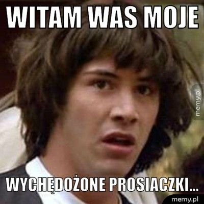 Witam was moje wychędożone prosiaczki...
